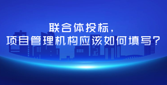 聯(lián)合體投標(biāo)，項目管理機(jī)構(gòu)應(yīng)該如何填寫？