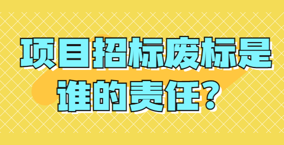 項目招標(biāo)廢標(biāo)是誰的責(zé)任？