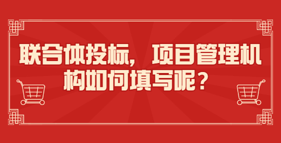 聯(lián)合體投標，項目管理機構(gòu)如何填寫呢？