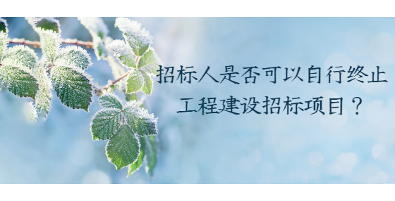 招標人是否可以自行終止工程建設招標項目？