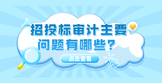 招投標(biāo)審計(jì)主要問題有哪些？
