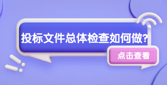 投標(biāo)文件總體檢查如何做？