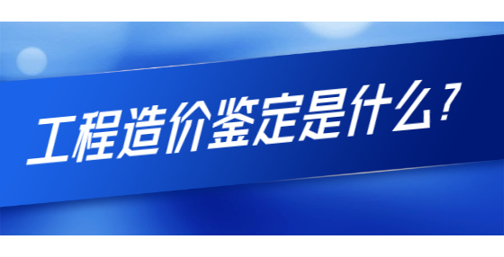 工程造價鑒定是什么？