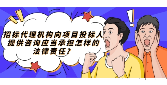 招標(biāo)代理機(jī)構(gòu)向項(xiàng)目投標(biāo)人提供咨詢應(yīng)當(dāng)承擔(dān)怎樣的法律責(zé)任？