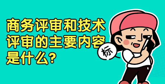 商務評審和技術評審的主要內容是什么？