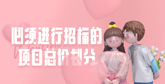必須進(jìn)行招標(biāo)的項(xiàng)目總價(jià)劃分