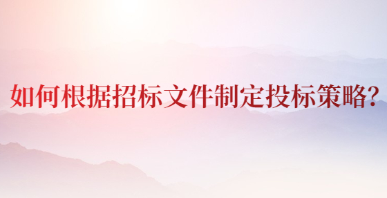 如何根據(jù)招標(biāo)文件制定投標(biāo)策略？