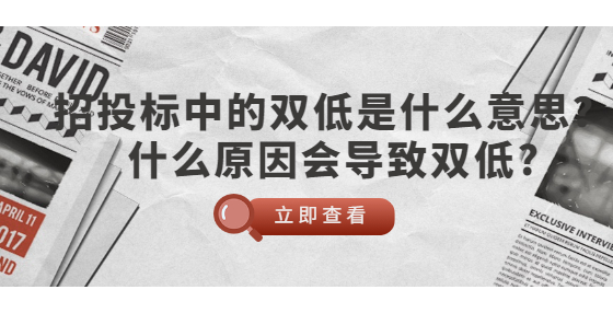 招投標(biāo)中的雙低是什么意思？什么原因會(huì)導(dǎo)致雙低?