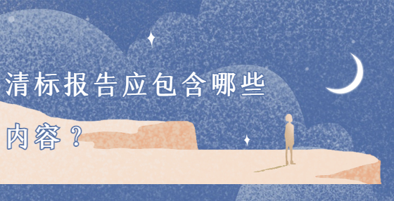 清標報告應包含哪些內容？
