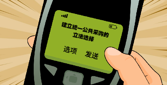 建立統(tǒng)一公共采購的立法選擇