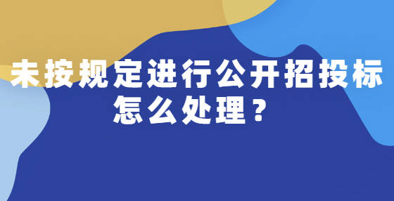 未按規(guī)定進行公開招投標怎么處理？