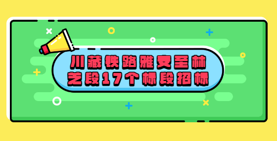川藏鐵路雅安至林芝段17個標(biāo)段招標(biāo)
