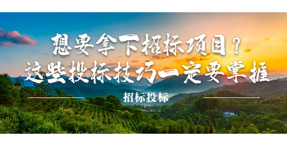 想要拿下招標(biāo)項目？這些投標(biāo)技巧一定要掌握