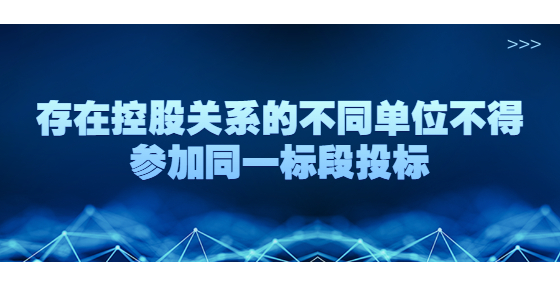 存在控股關(guān)系的不同單位不得參加同一標(biāo)段投標(biāo)