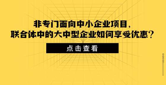 非專門面向中小企業(yè)項目，聯(lián)合體中的大中型企業(yè)如何享受優(yōu)惠？