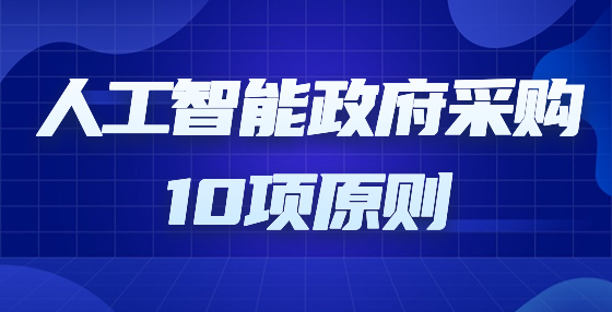 人工智能政府采購10項原則