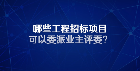 哪些工程招標(biāo)項目可以委派業(yè)主評委？