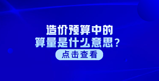 造價預(yù)算中的算量是什么意思？
