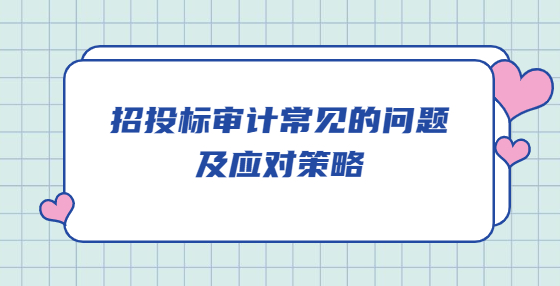 招投標(biāo)審計常見的問題及應(yīng)對策略