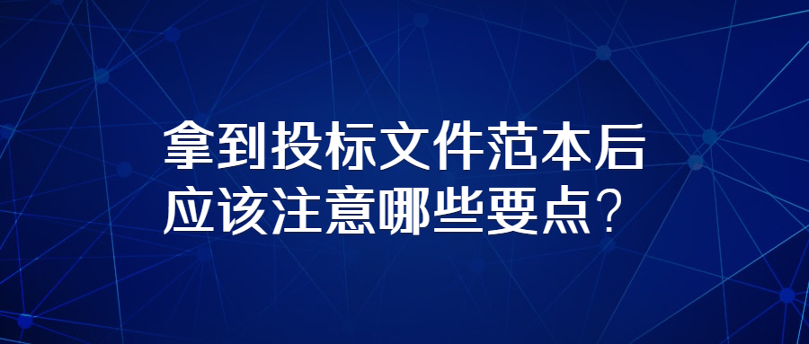 拿到投標文件范本后應該注意哪些要點？