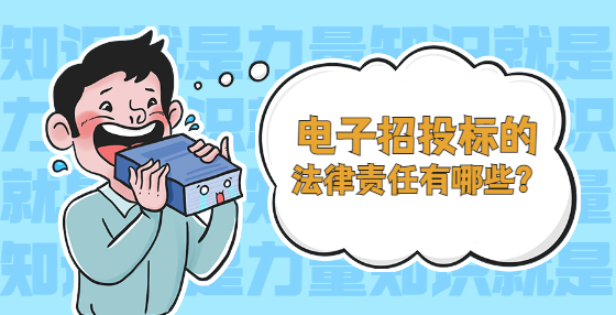 電子招投標(biāo)的法律責(zé)任有哪些？