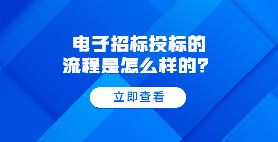 電子招標(biāo)投標(biāo)的流程是怎么樣的？