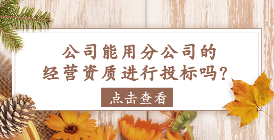 公司能用分公司的經(jīng)營(yíng)資質(zhì)進(jìn)行投標(biāo)嗎？