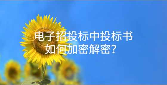 電子招投標中投標書如何加密解密？