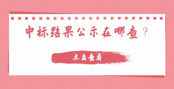 中標結果公示在哪查？