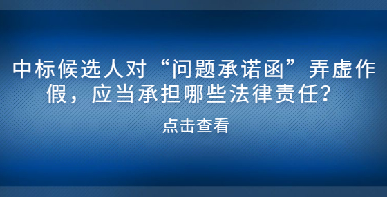 中標(biāo)候選人對(duì)“問題承諾函”弄虛作假，應(yīng)當(dāng)承擔(dān)哪些法律責(zé)任？