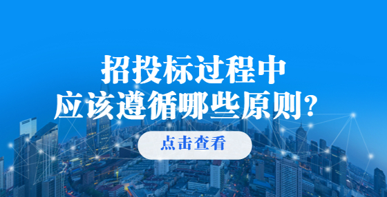 招投標過程中應該遵循哪些原則？