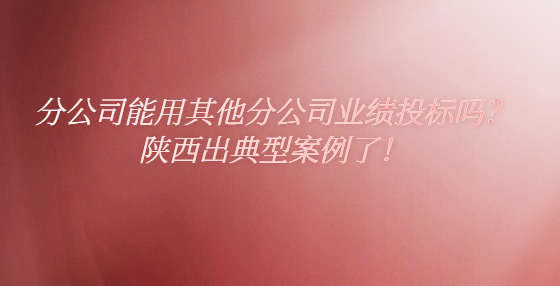 分公司能用其他分公司業(yè)績投標(biāo)嗎？陜西出典型案例了！