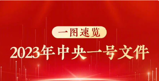 2023年中央一號文件公布 提出做好2023年全面推進鄉(xiāng)村振興重點工作