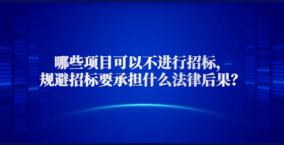  哪些項目可以不進(jìn)行招標(biāo)，規(guī)避招標(biāo)要承擔(dān)什么法律后果？