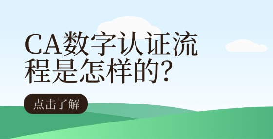 CA數(shù)字認證流程是怎樣的？