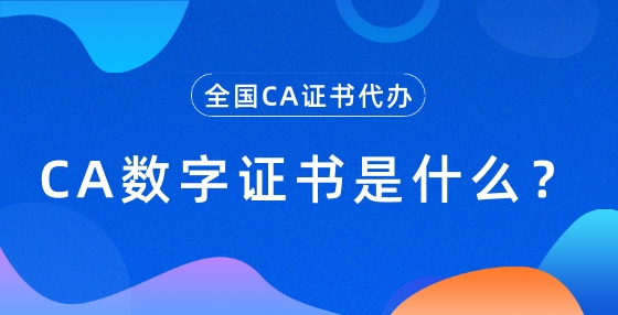 CA數(shù)字證書是什么？