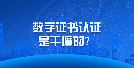 數(shù)字證書認(rèn)證是干嘛的？