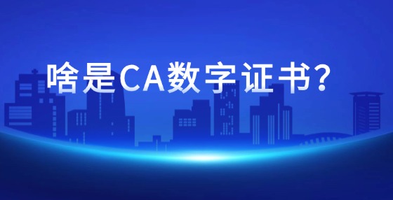 啥是CA數(shù)字證書？
