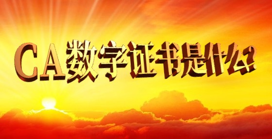 CA數(shù)字證書是什么？