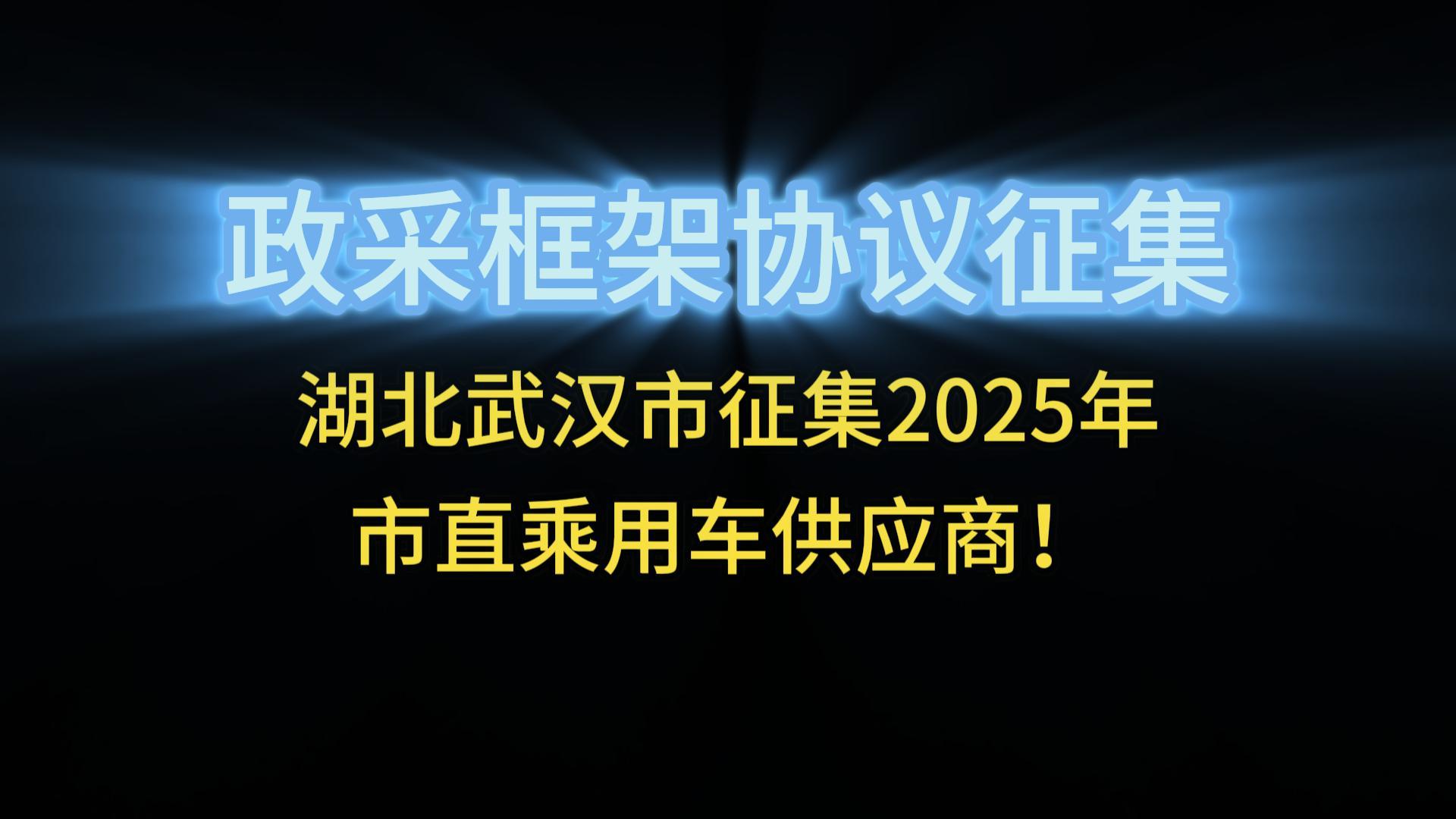 湖北武漢市征集2025年市直乘用車供應(yīng)商！