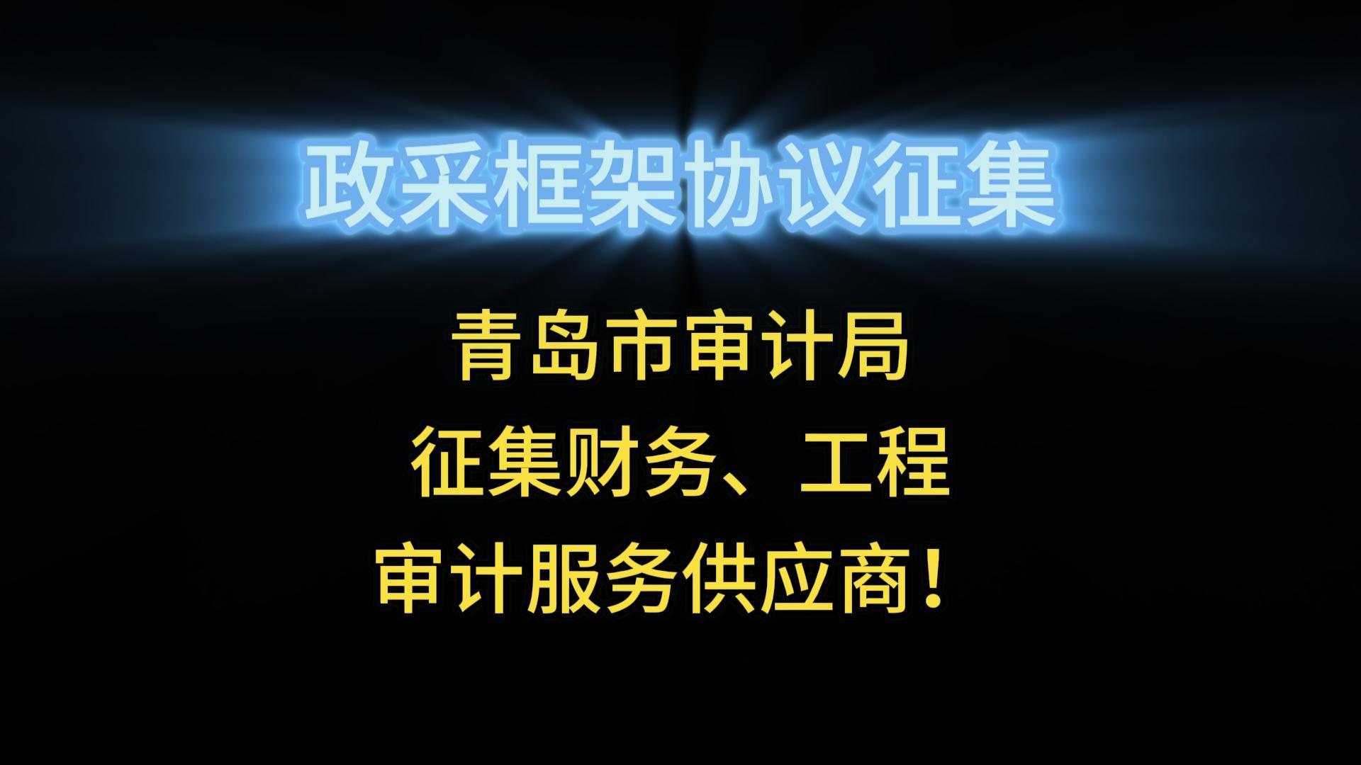 青島市審計(jì)局征集財(cái)務(wù)、工程審計(jì)服務(wù)供應(yīng)商！